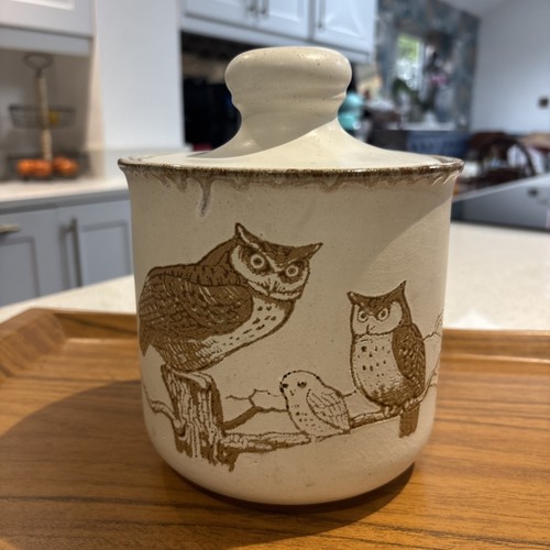 Dunoon owl lidded storage jar - lidded,